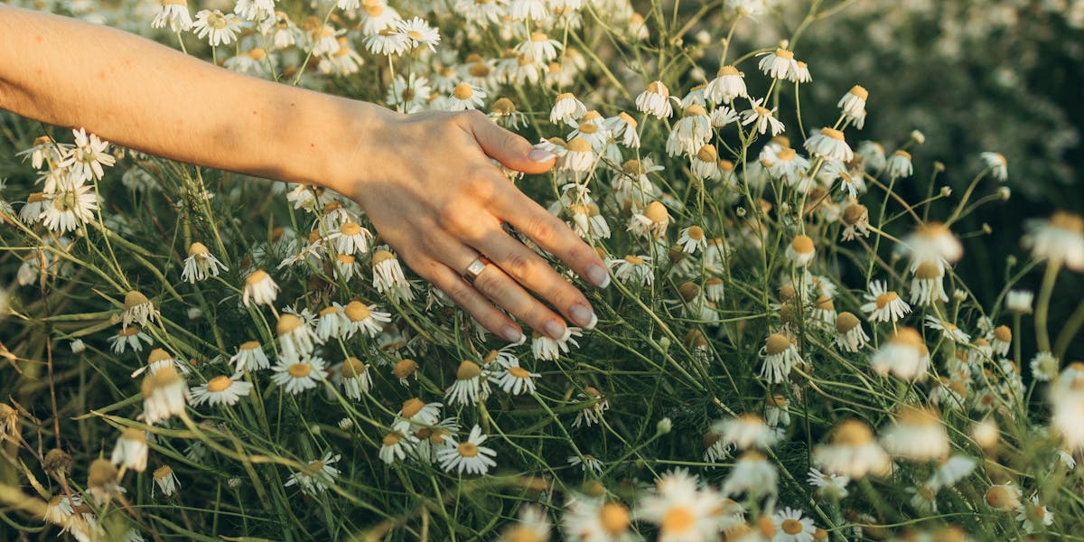 produtos naturais potência sexual